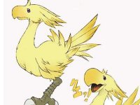 Click Here To Enlarge!